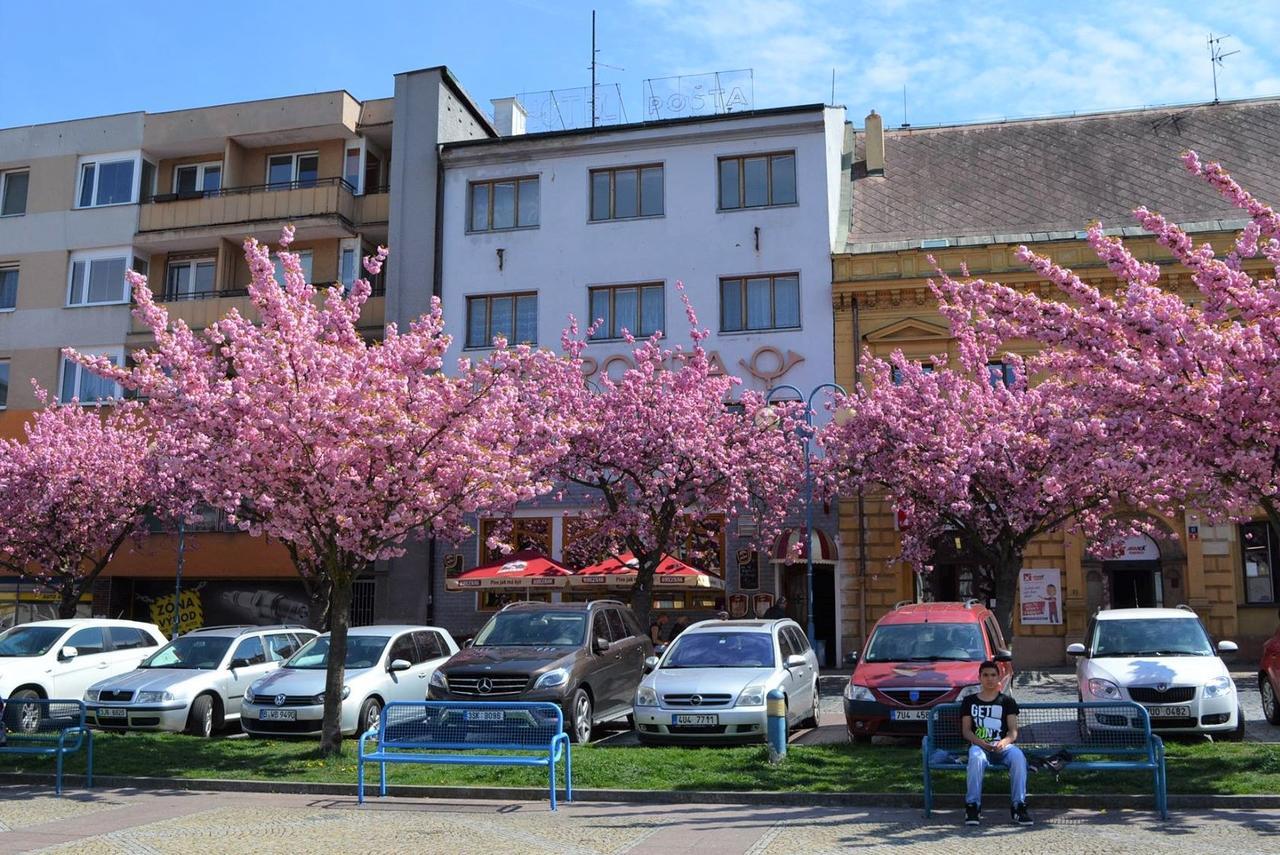 Hotel Posta Дечин Екстериор снимка